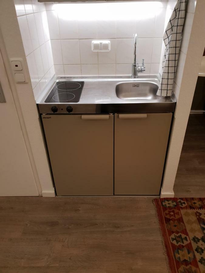 Studio Apartment In Zentraler Lage Mayence Extérieur photo